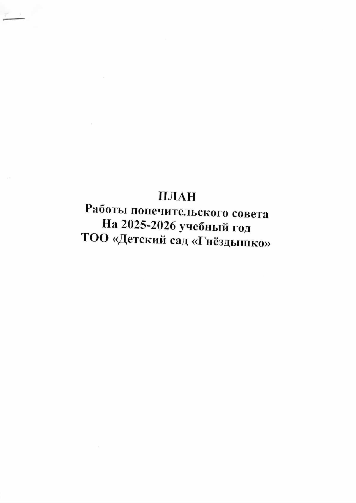 План работы попечительского совета, страница 1